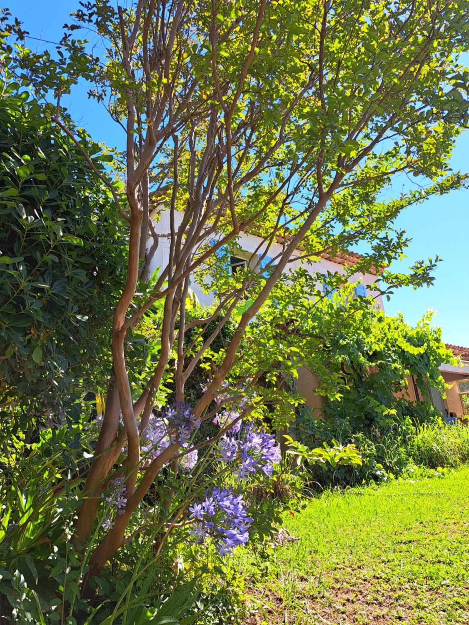 Les Oliviers Valbonne
